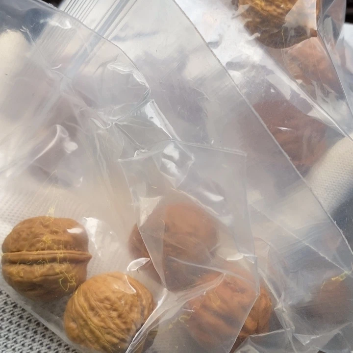 文玩核桃把件随机发1