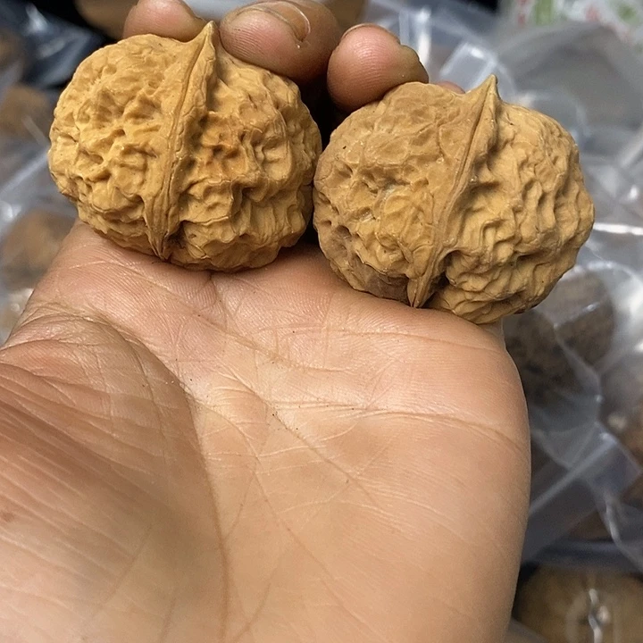 核桃云南铁核桃基地97