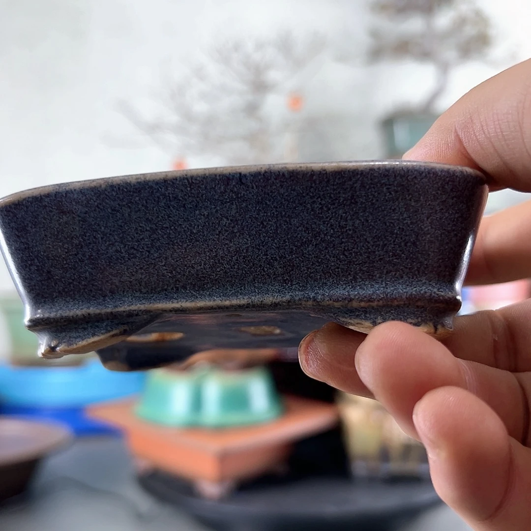 比***毕日本盆一只只一只