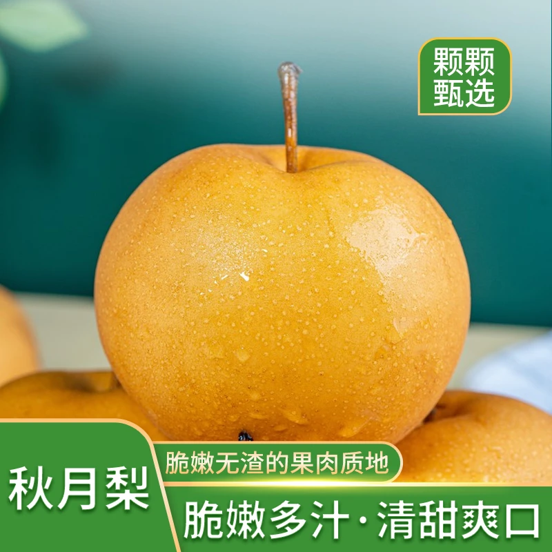 山东秋月梨新鲜现摘当季水果脆甜多汁皮薄爽口3斤/5斤整箱包邮