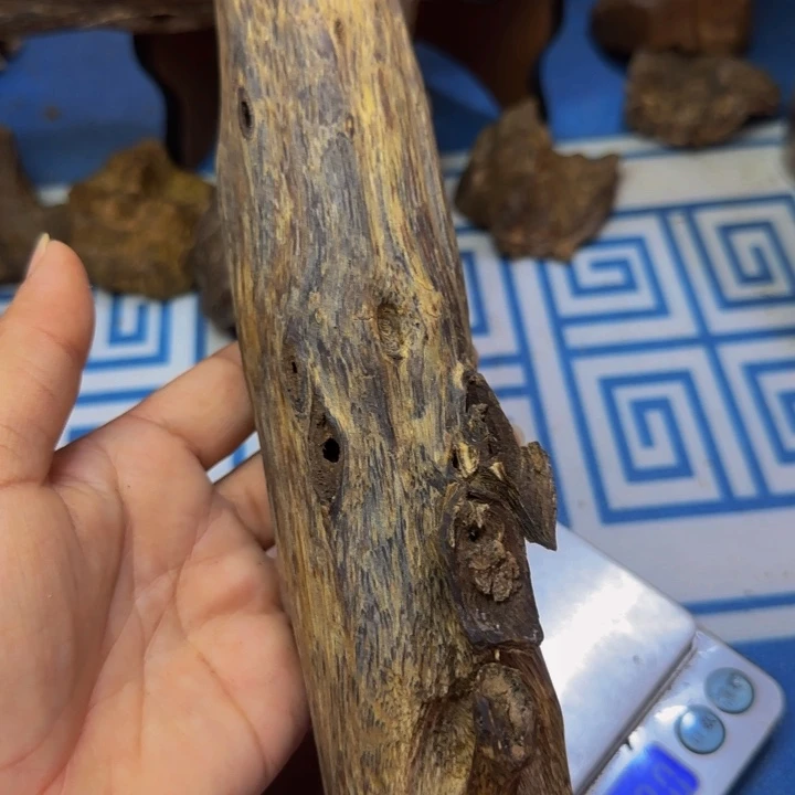 木虎斑紫奇树心虫漏80克