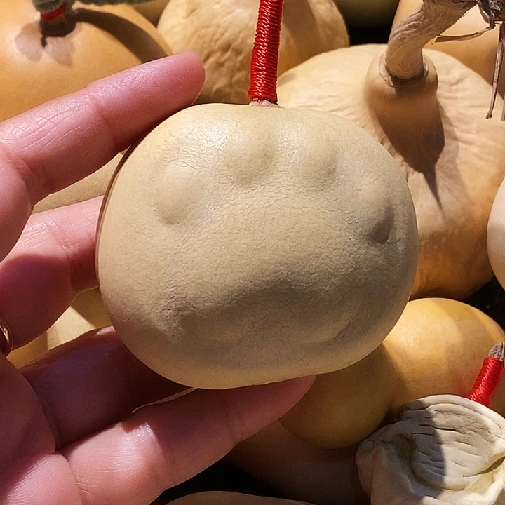 ****灵葫芦笙和他最大对手就是
