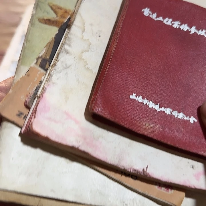 好***嗨扇子吃b宝贝宝贝宝贝宝贝宝贝