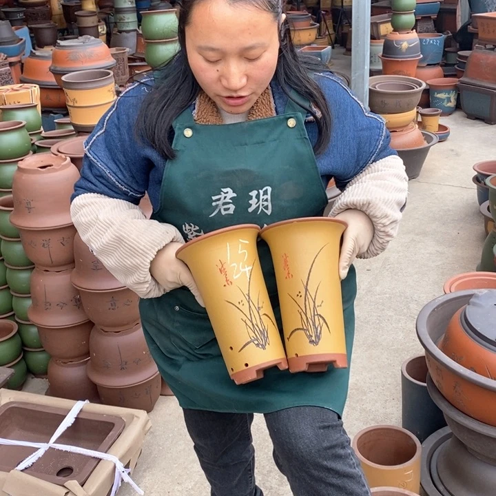紫砂花盆盆栽花卉苗木种植