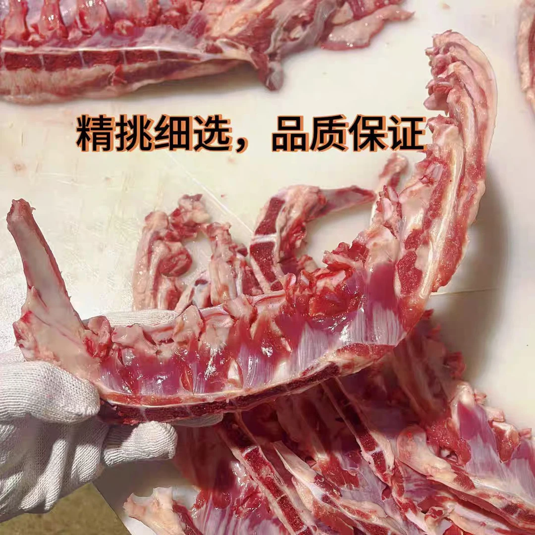 蒙沁福兴羔羊胸叉骨