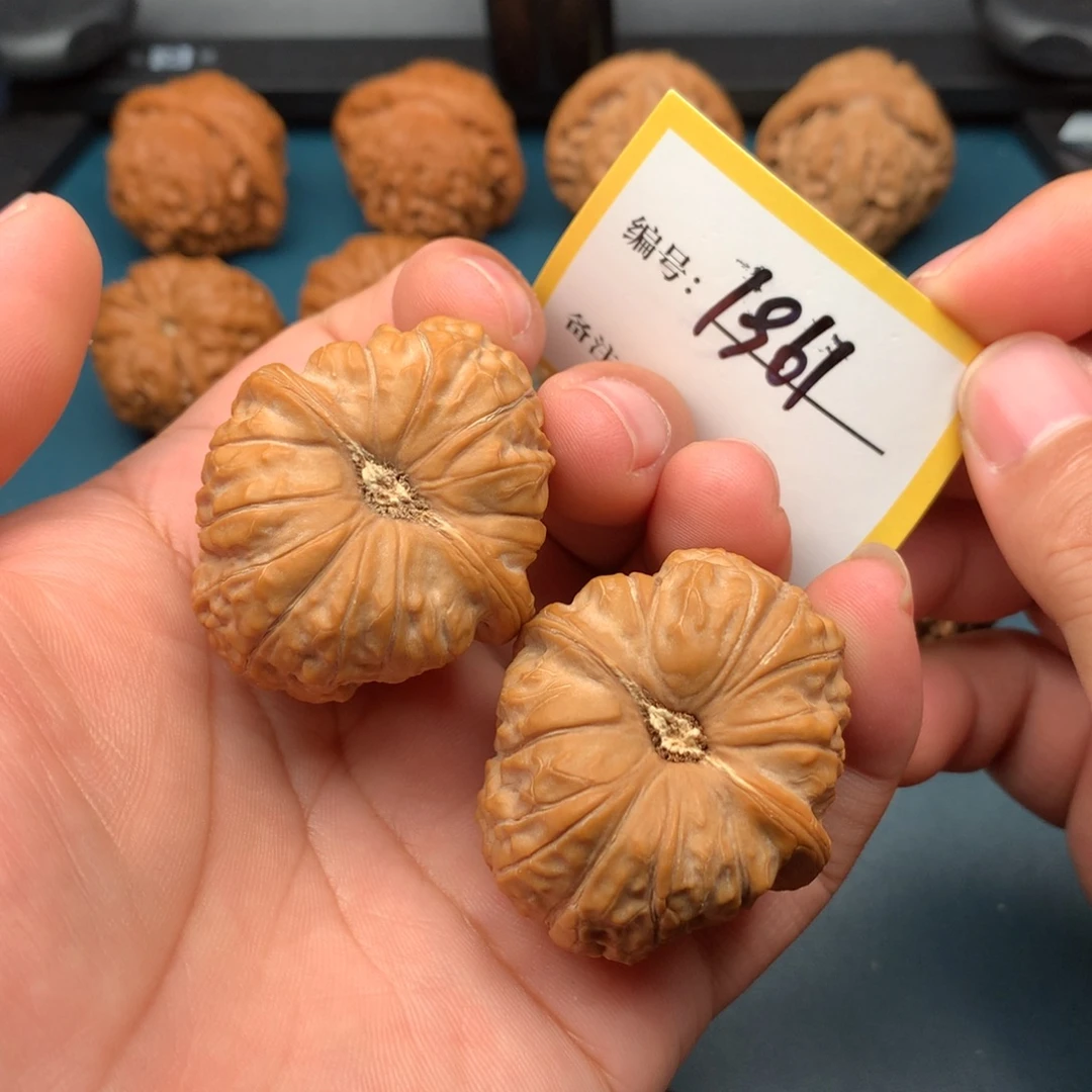 文玩核桃把件38南瓜墩1961
