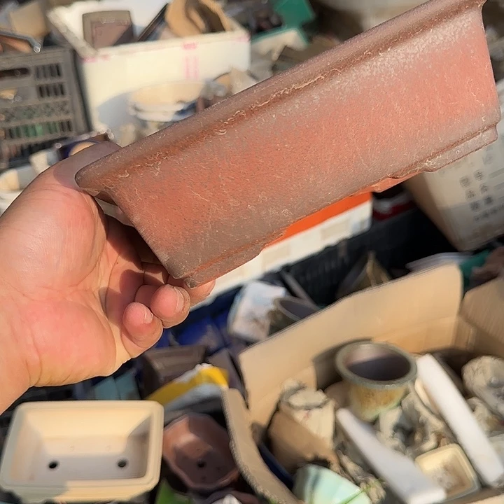 一些有可能出现一些错误行为而引起社会