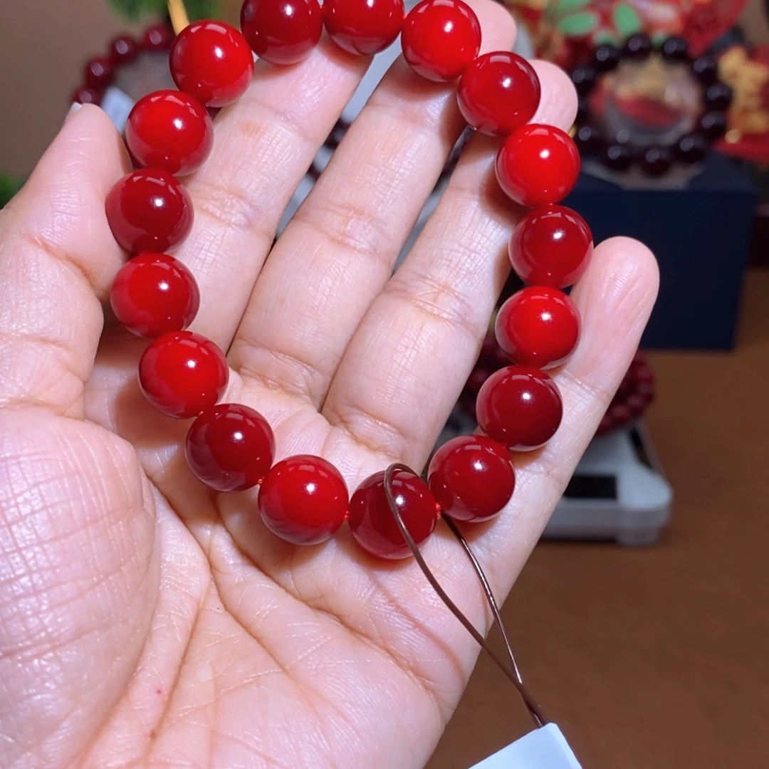 贝壳杉帝王血龙木1.2