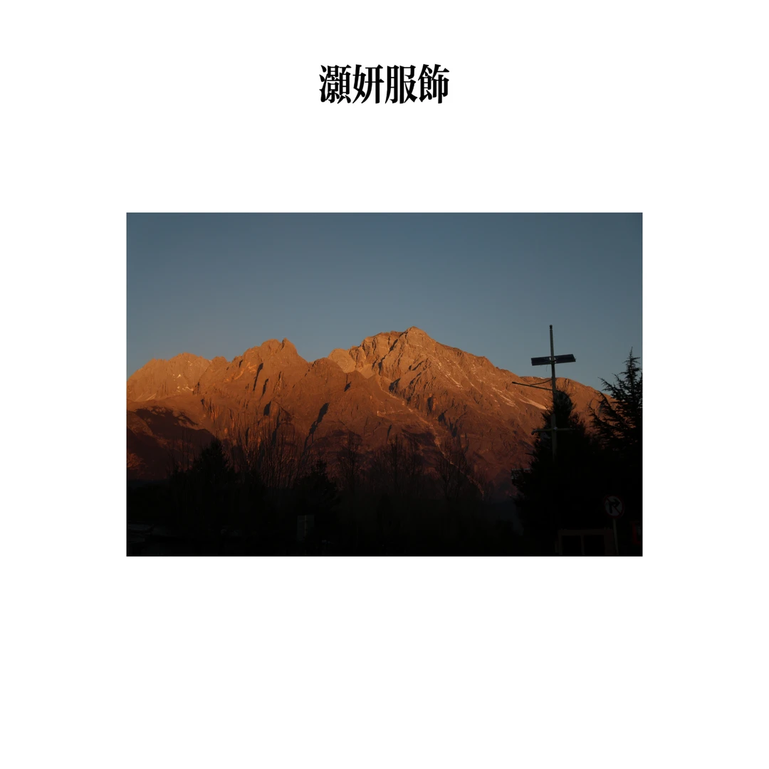 065南油高端货T恤