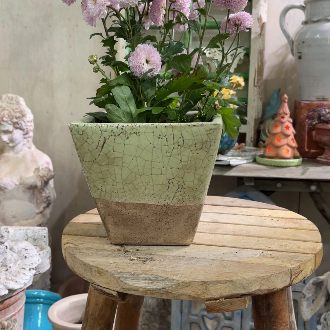 许纯的花房 孤品294