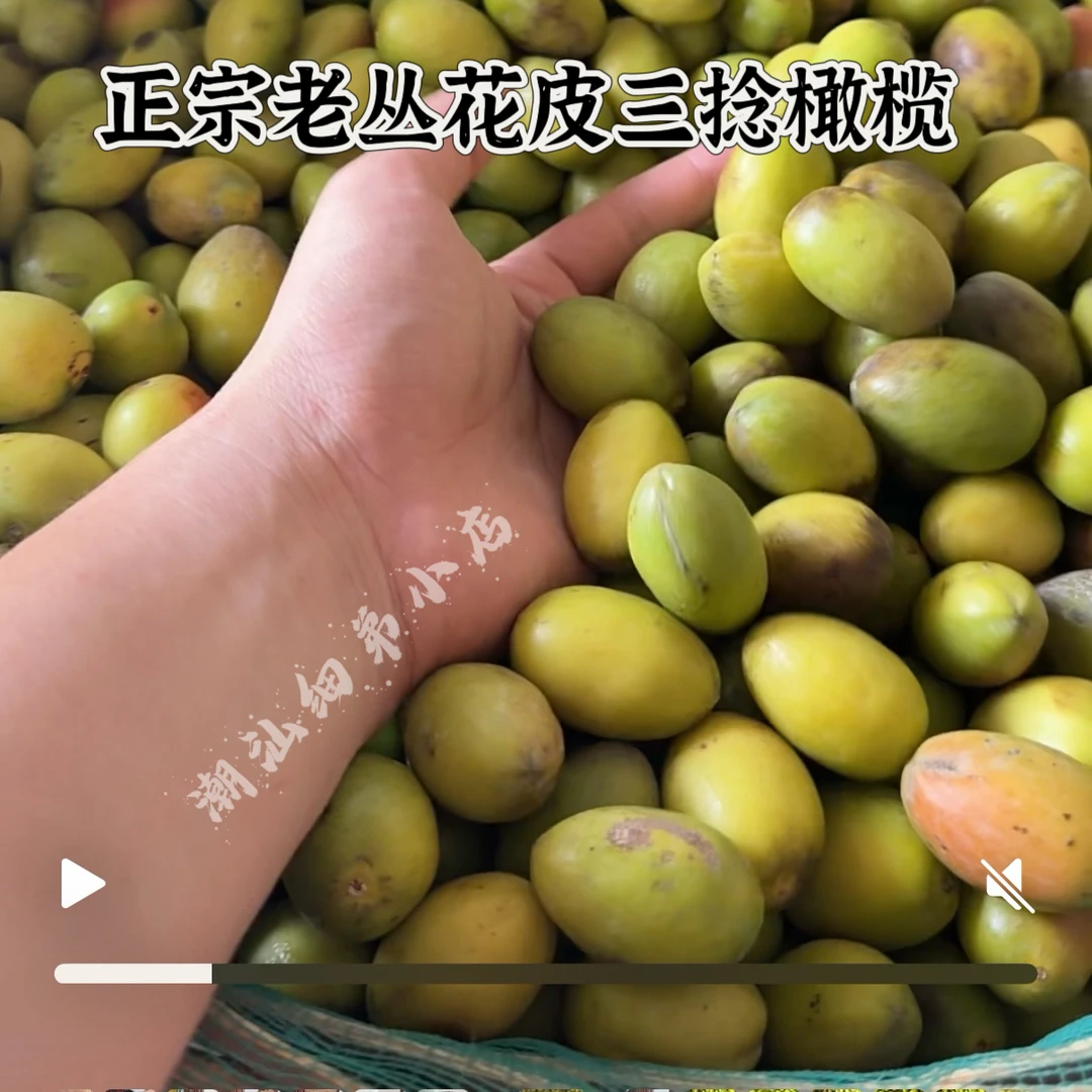 潮汕金灶老树花皮三捻橄榄 酥甘香好食 新鲜现摘一斤起