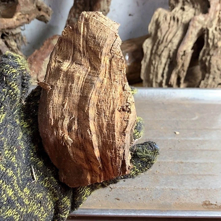 花梨木类月*海南黄花梨