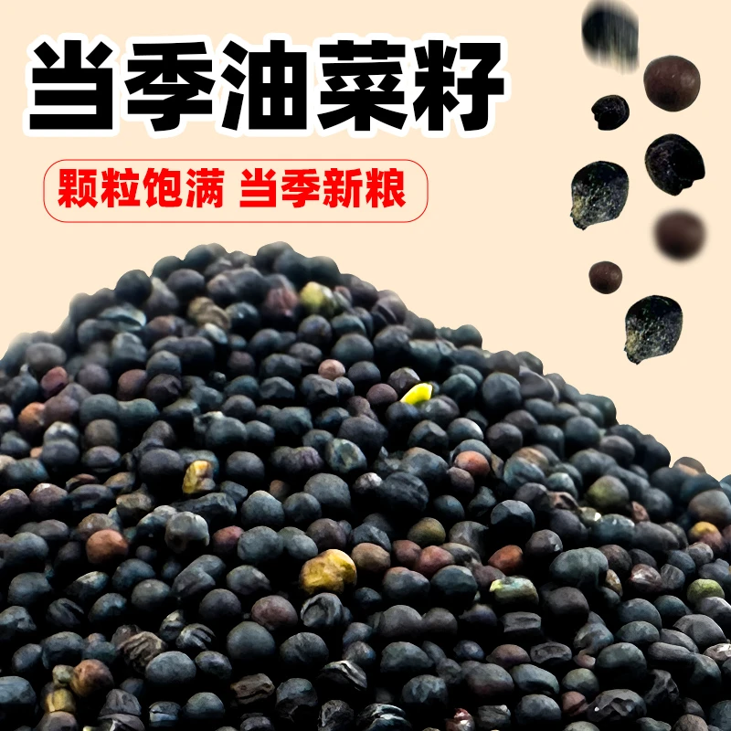 鹦鹉鸟食饲料油菜籽种子虎皮牡丹芙蓉玉鸟小鸟食喂鸟养鸟鸟粮零食