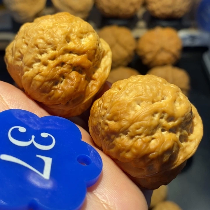 核桃玉玲珑金蟾尺寸38