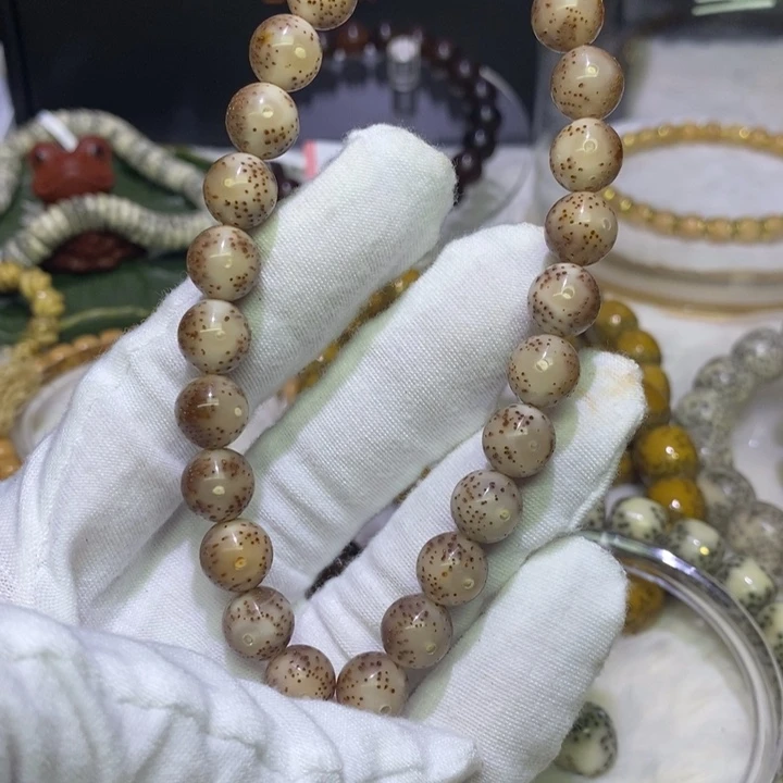 吊坠星月菩提海南