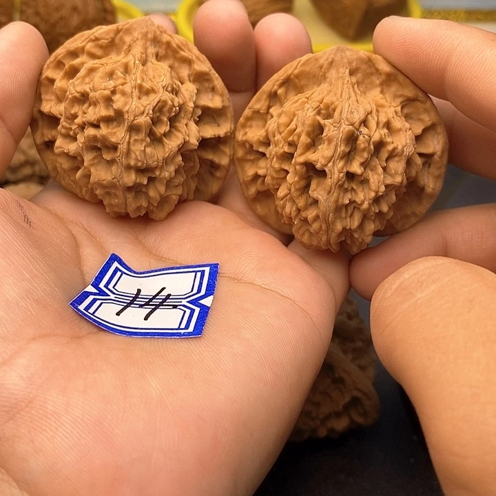 文玩核桃把件48盘龙纹