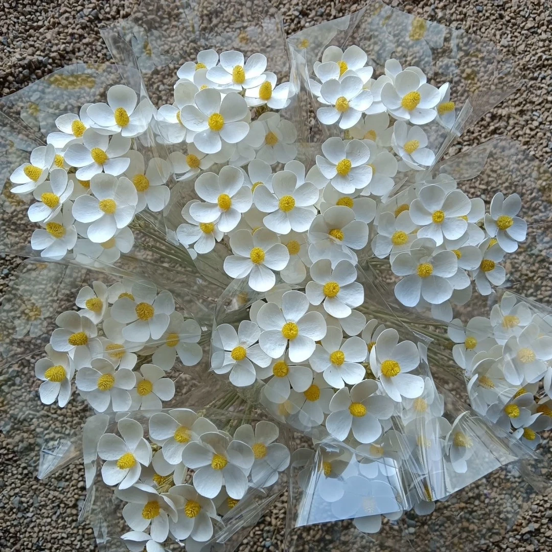 紫罗兰ins风干花仿真束手工客厅插花装饰永生摆件