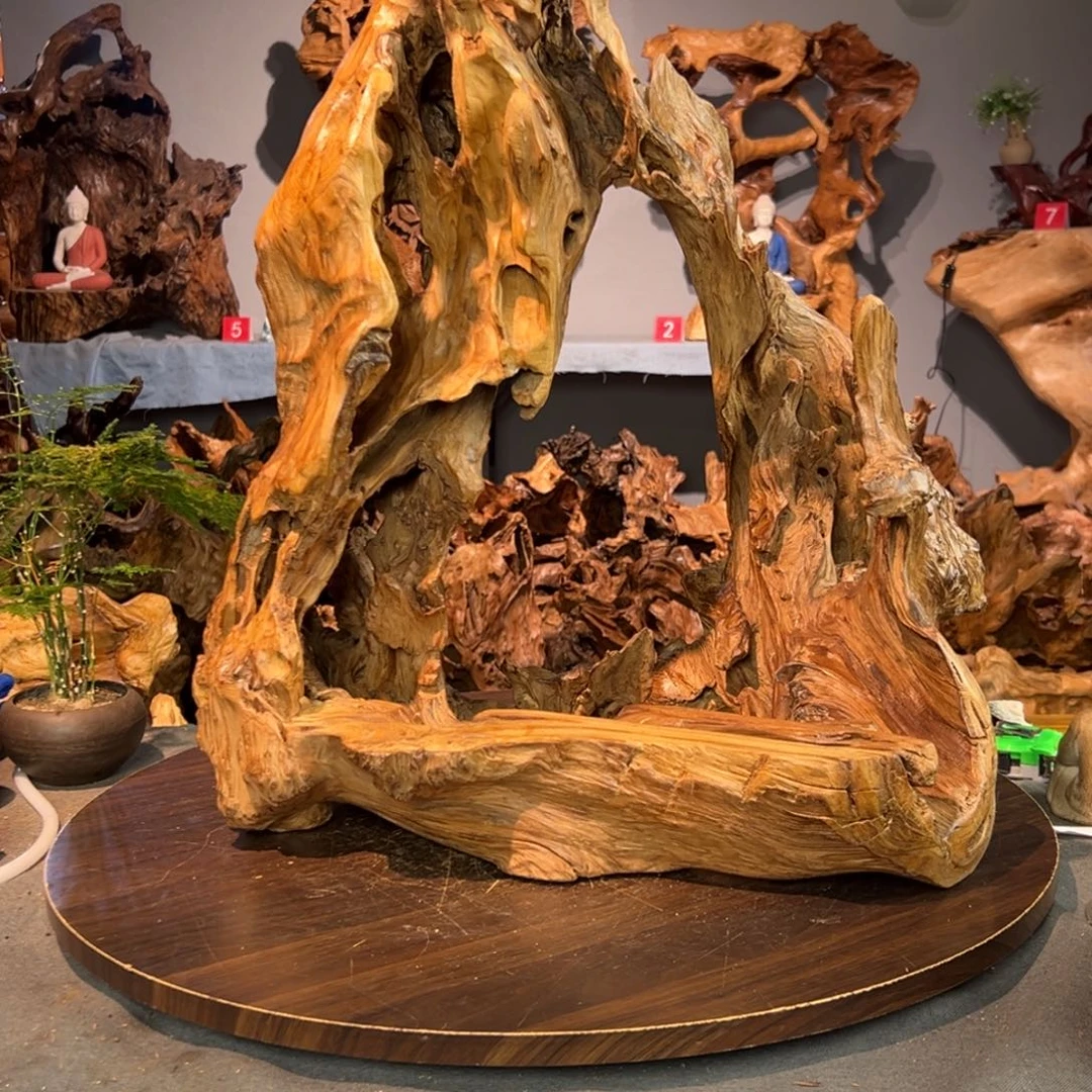 秋***叶香杉木485aaaaassssss