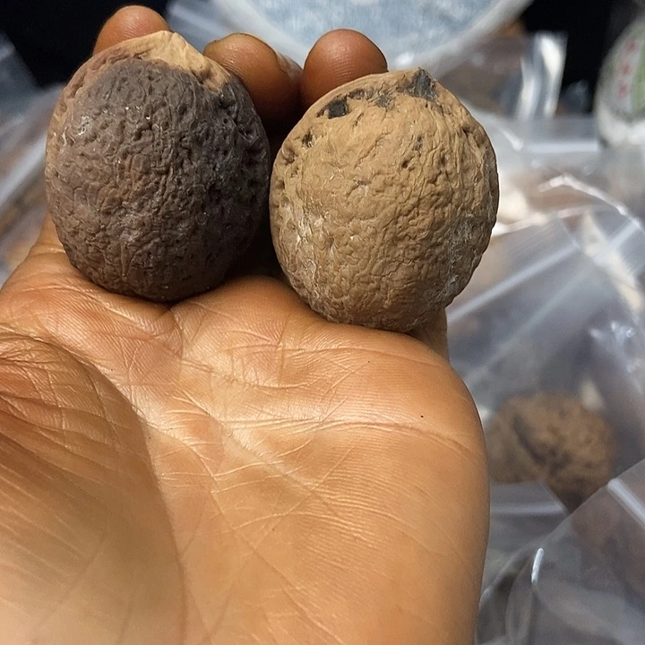 把件文玩核桃云南铁核桃基地29
