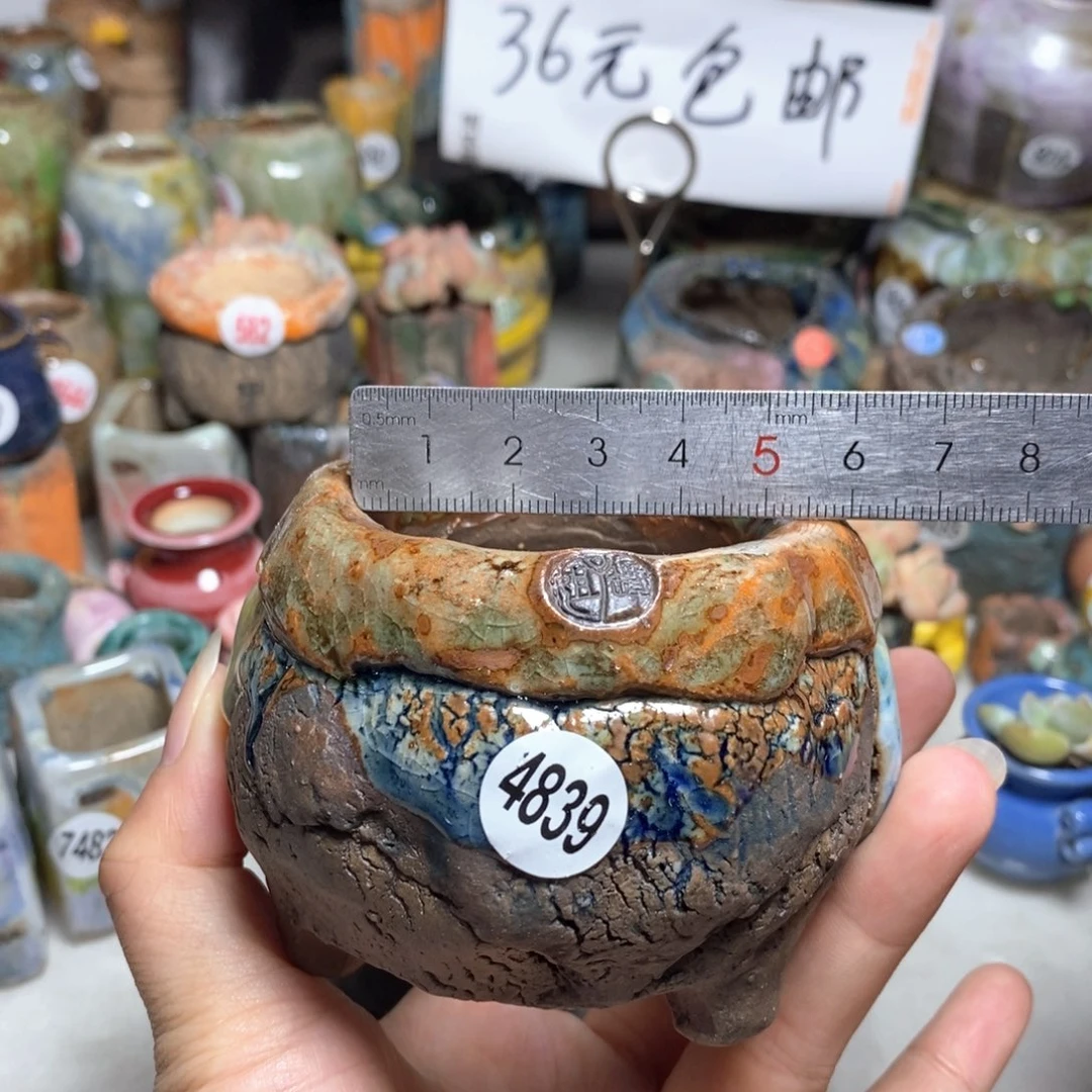 拍3送一个小礼物