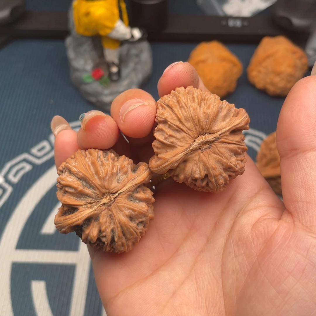 把件文玩核桃老*白狮子