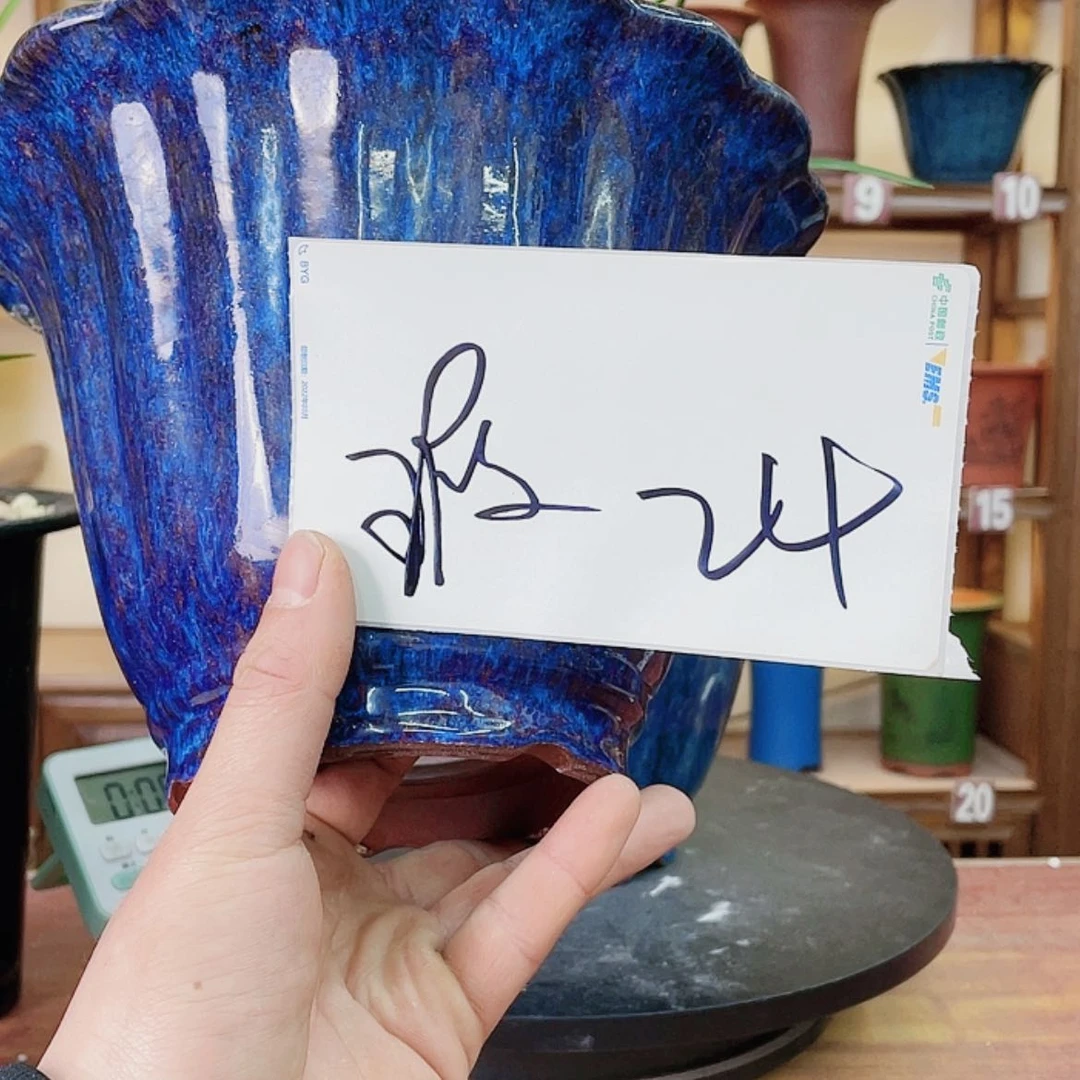 【闪购商品】紫砂花盆今****逢兰花453322214553325555