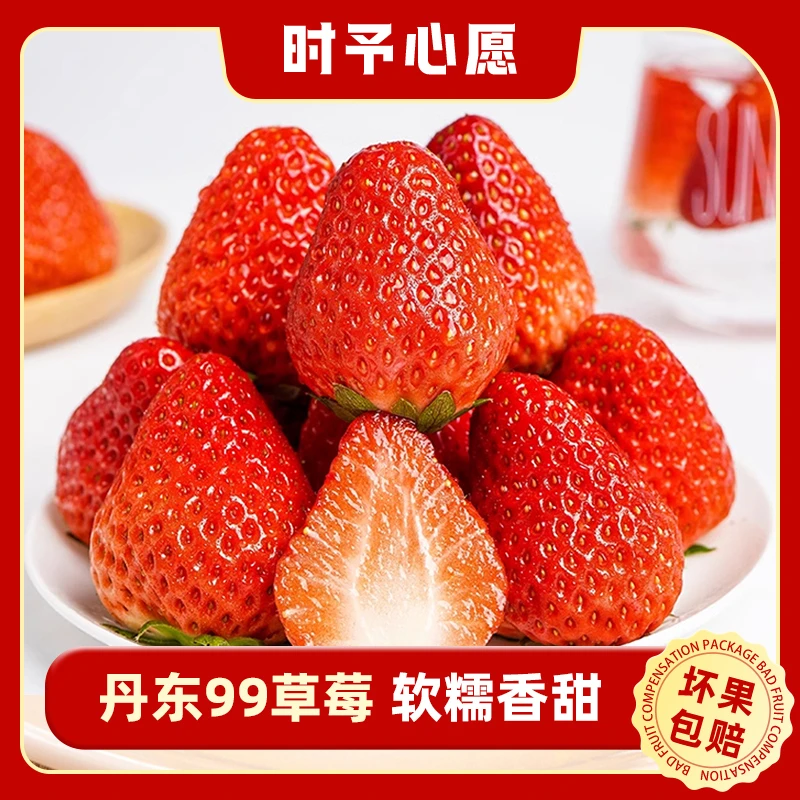 丹东99草莓 X顺丰发货当日采摘新鲜水果产地直发现摘现发