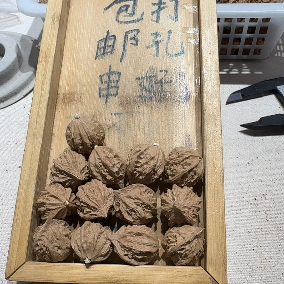 核桃手串/手链69号边23肚22高24