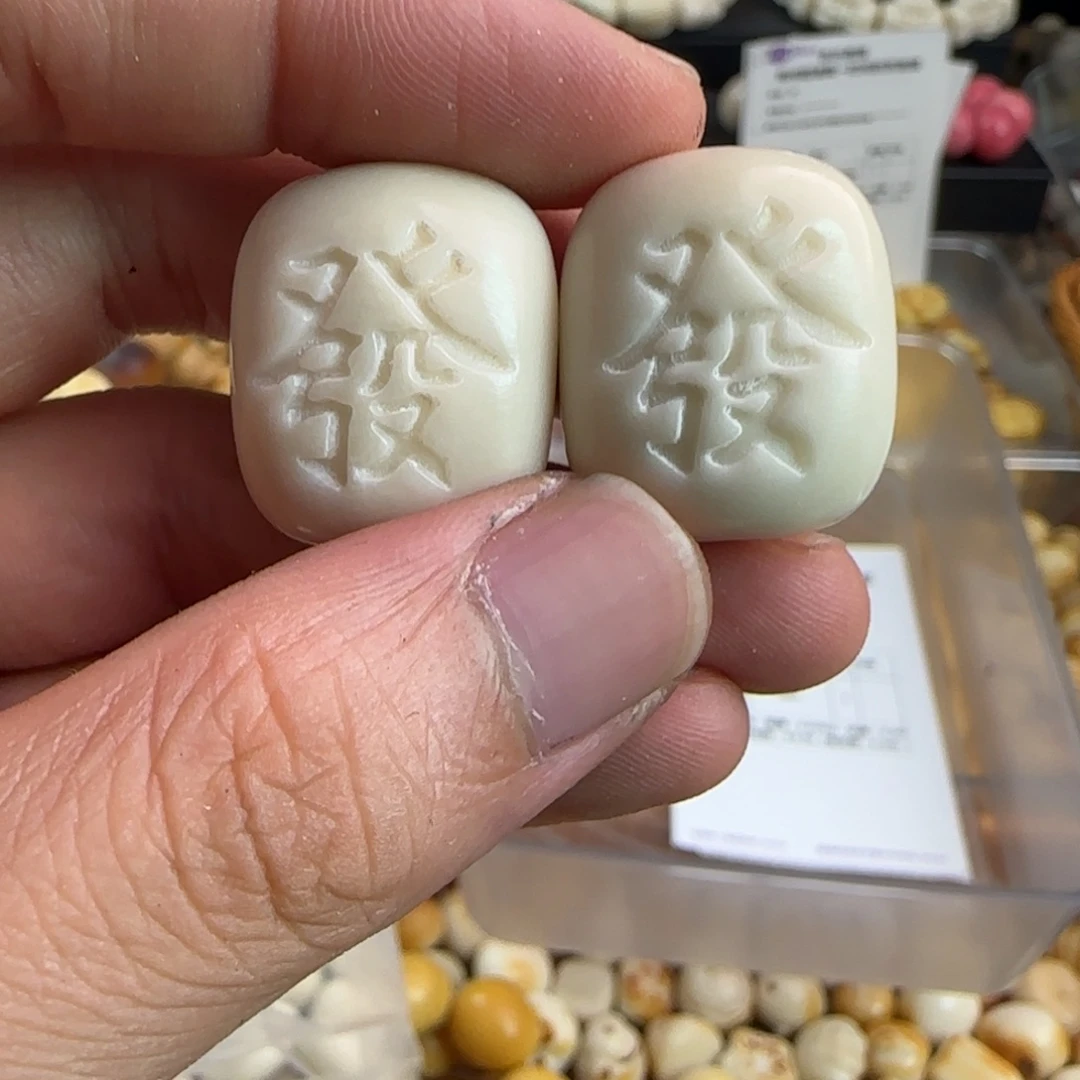 吊坠菩提根/象牙果微瑕白发10颗