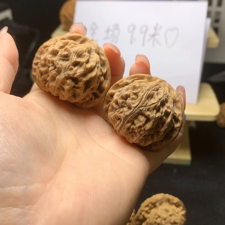 无***凉宫灯1111111111111111111