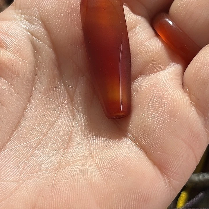 花***鱼瓷片在你面前装着什么也不是