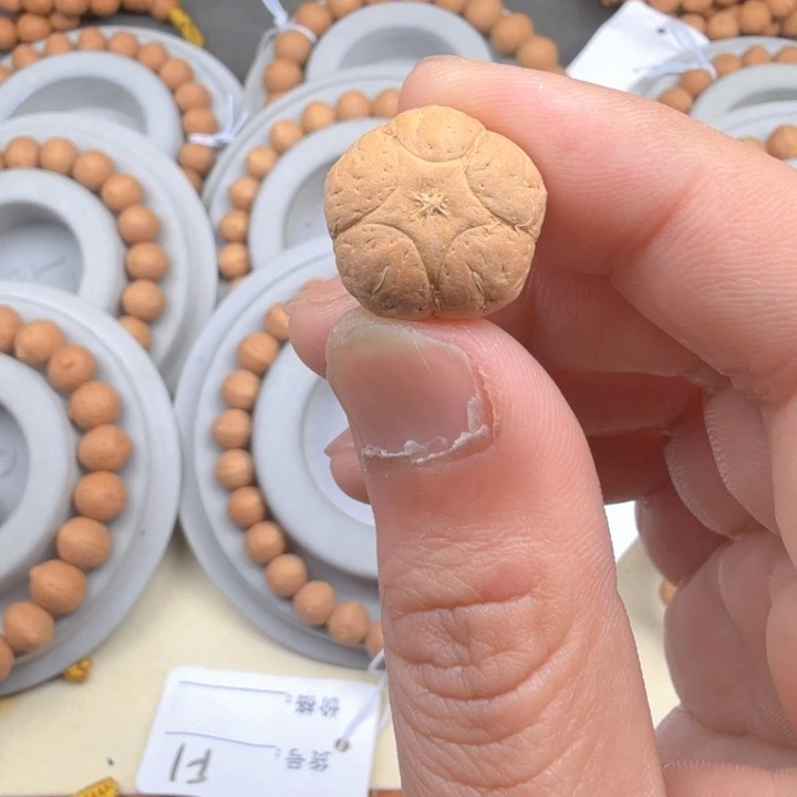 吊坠凤眼菩提18+精品梅花五星