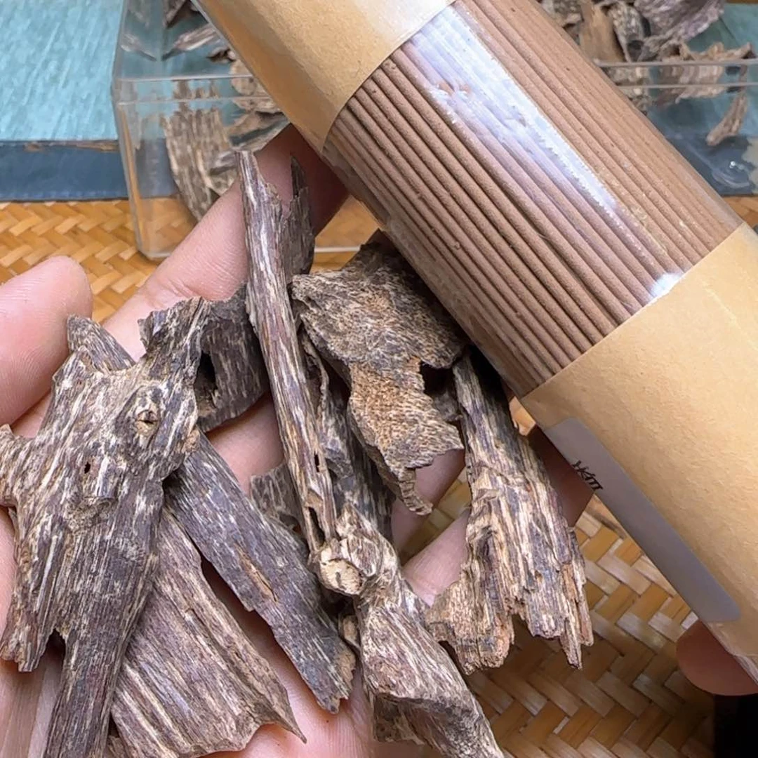 海南黎母山蚁漏12克