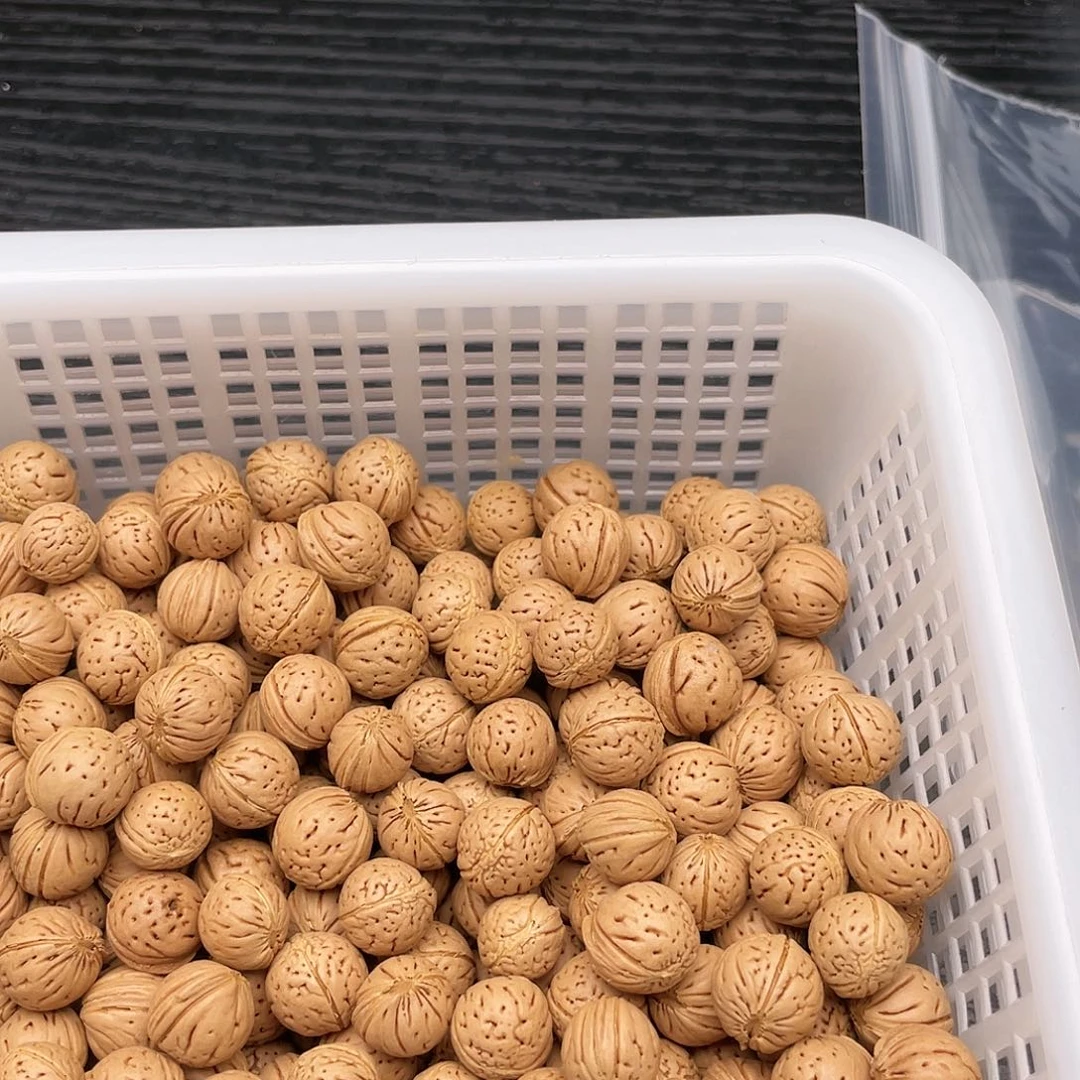 【闪购商品】A****y散子批发400米