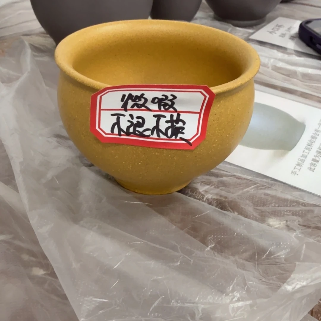 茶壶紫砂黄龙山原矿黄金段130