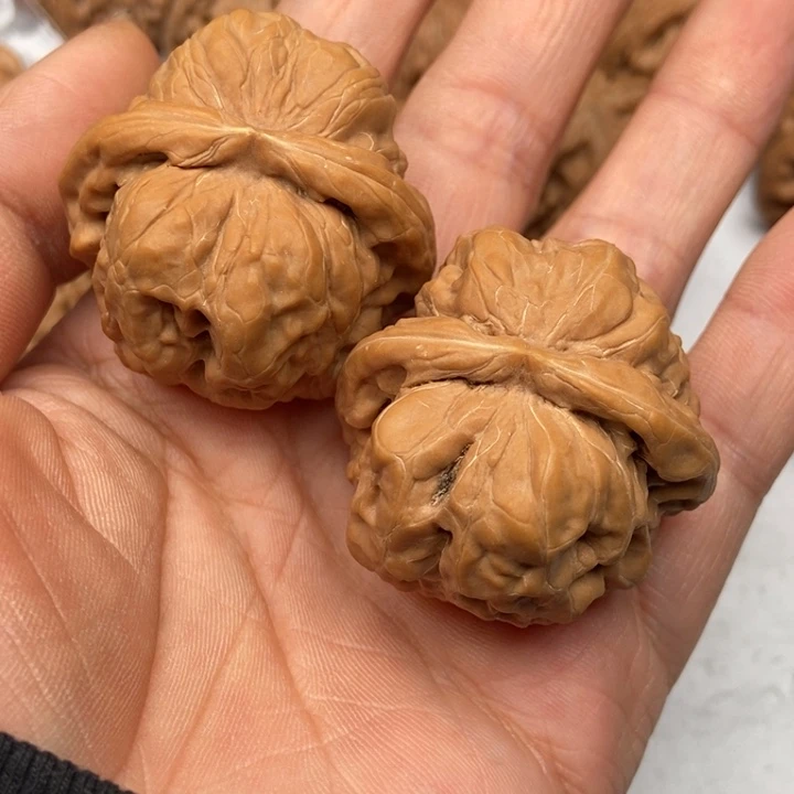 文玩核桃把件星**海蛤蟆