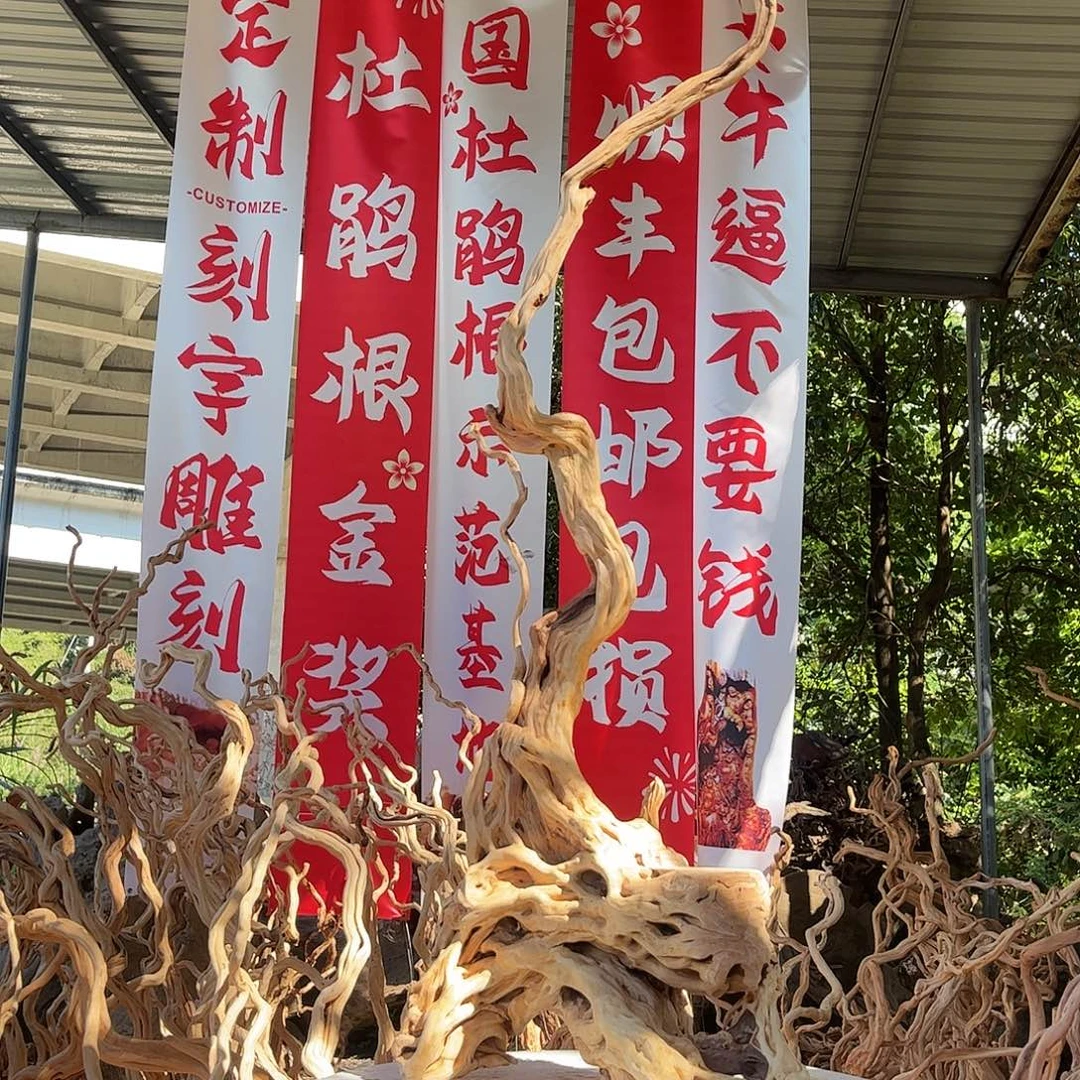 大***罗木我是一只小小鸟地域鬼的