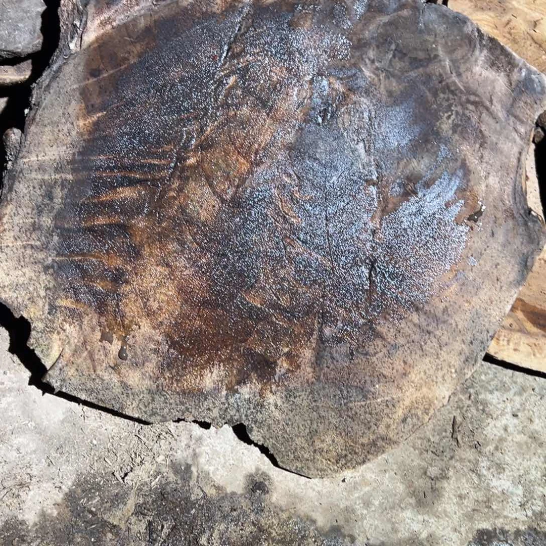 金丝楠老**?111111111111111