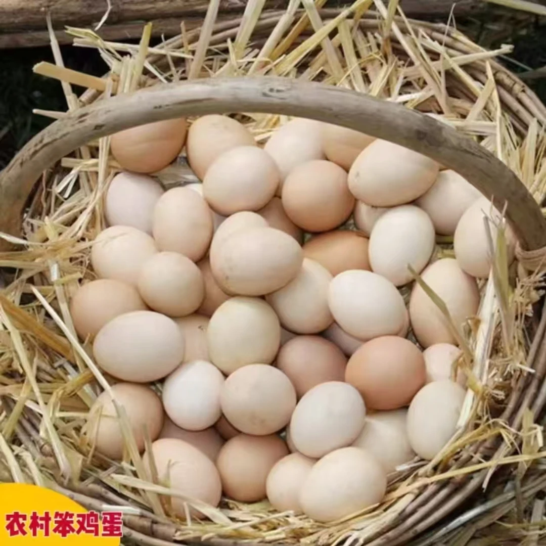 农家散养土鸡蛋50枚[顺丰包邮 破损包赔]