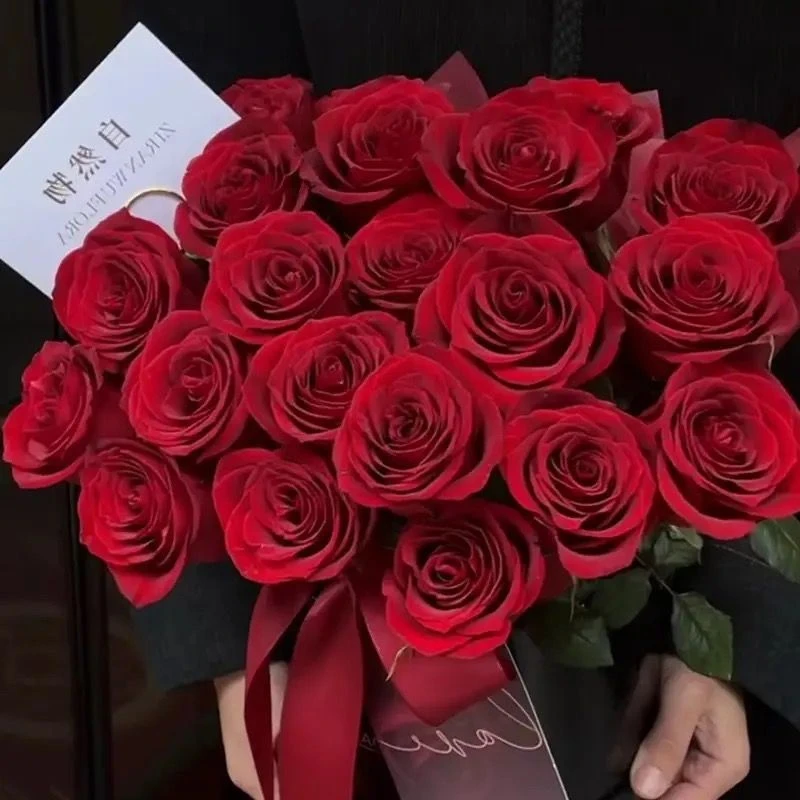 《红玫瑰》鲜花基地直发红色玫瑰卡罗拉高原红鲜花花束批发