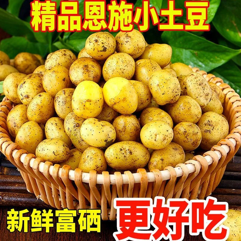 当季新鲜恩施农家高山小土豆新鲜洋芋黄心土豆湖北马铃薯蔬菜新鲜