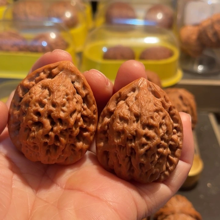 文玩核桃把件金公子39➕