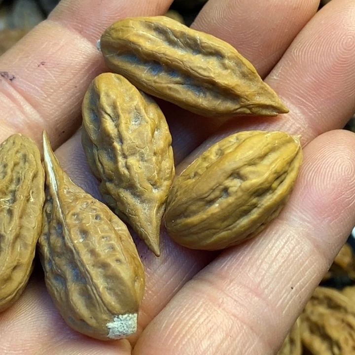 *****吊坠文玩核桃娜姐78