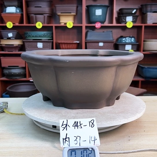 红陶只**买紫砂花盆里放上