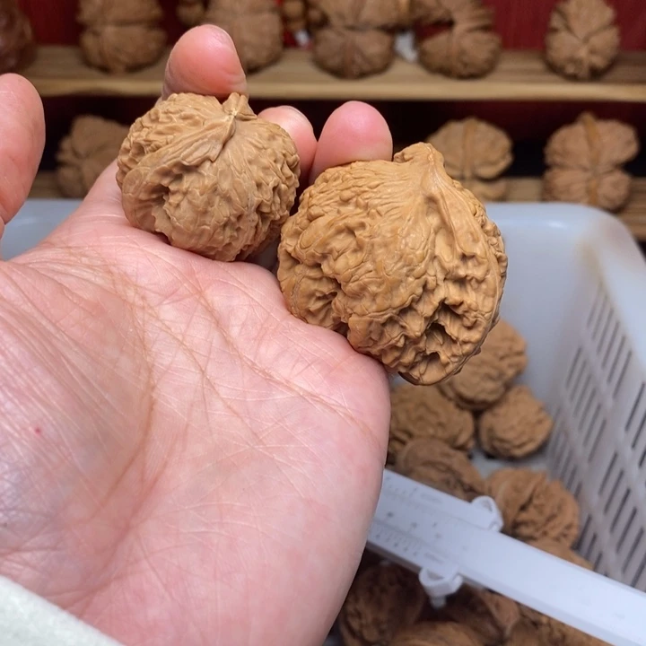 白****把件文玩核桃文玩