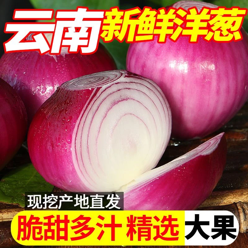 云南高山紫皮洋葱红皮圆葱生吃脆甜微辣新鲜蔬菜3斤5斤8斤9斤批发