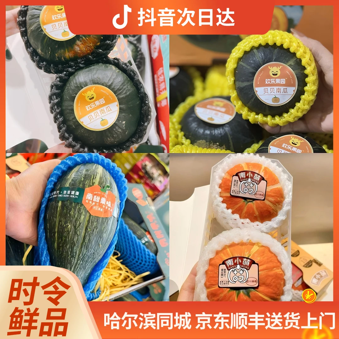 板栗贝贝南瓜 金贝贝/绿贝贝/贵族小福星G