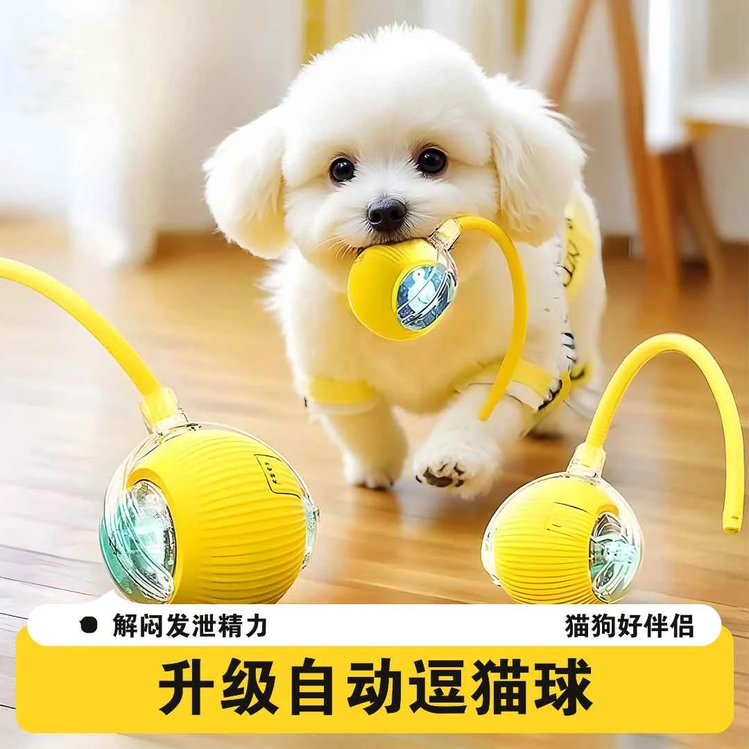 狗狗自动遛狗耐咬消耗体力神器可充电智能静音宠物玩具逗猫球猫咪