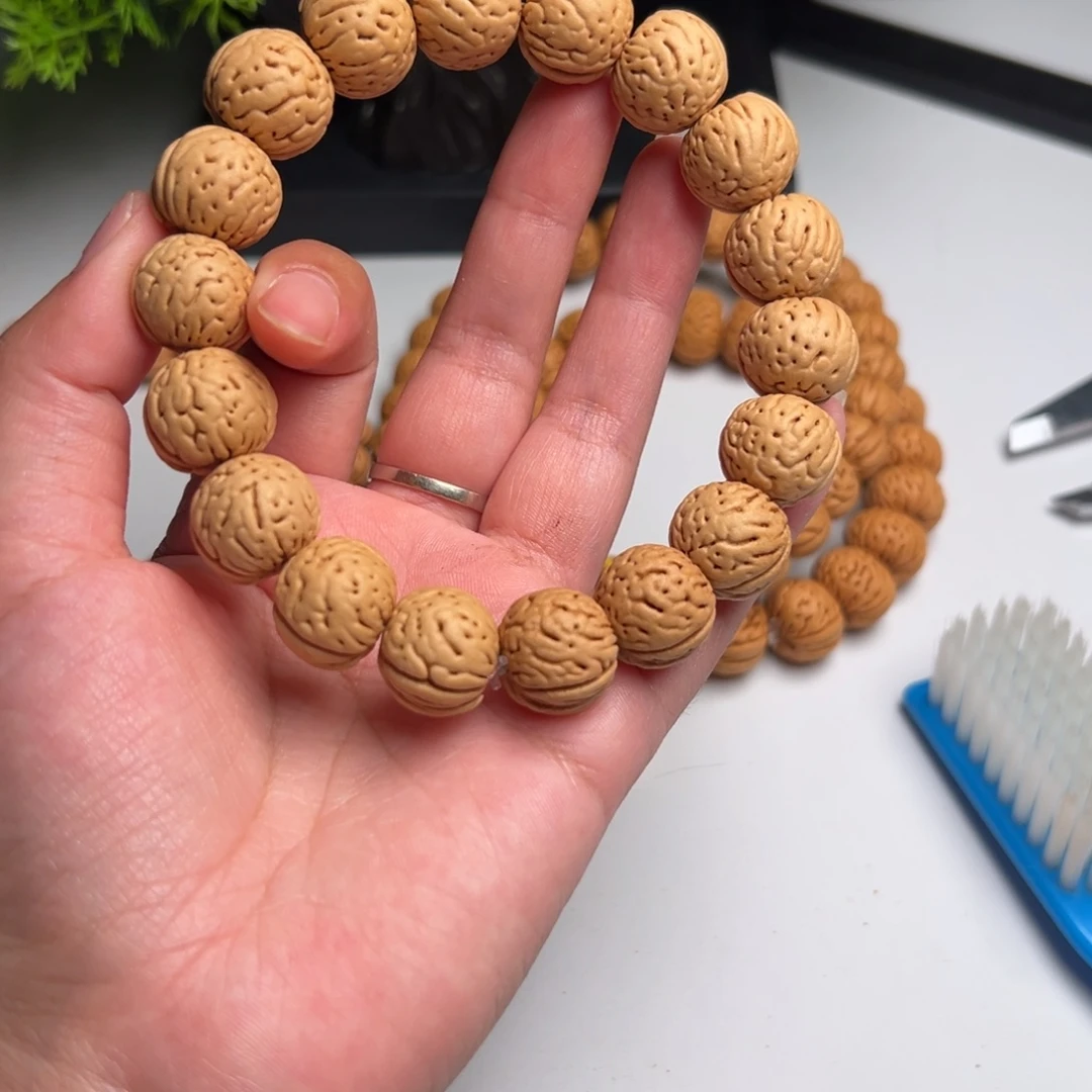 16尺寸金丹肥脐桃核