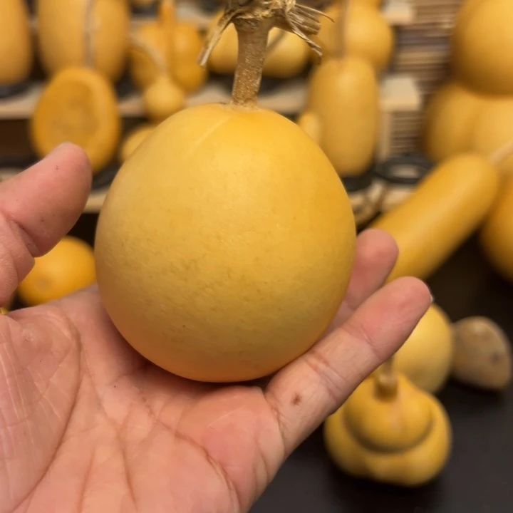 柒**柒15566556666589989